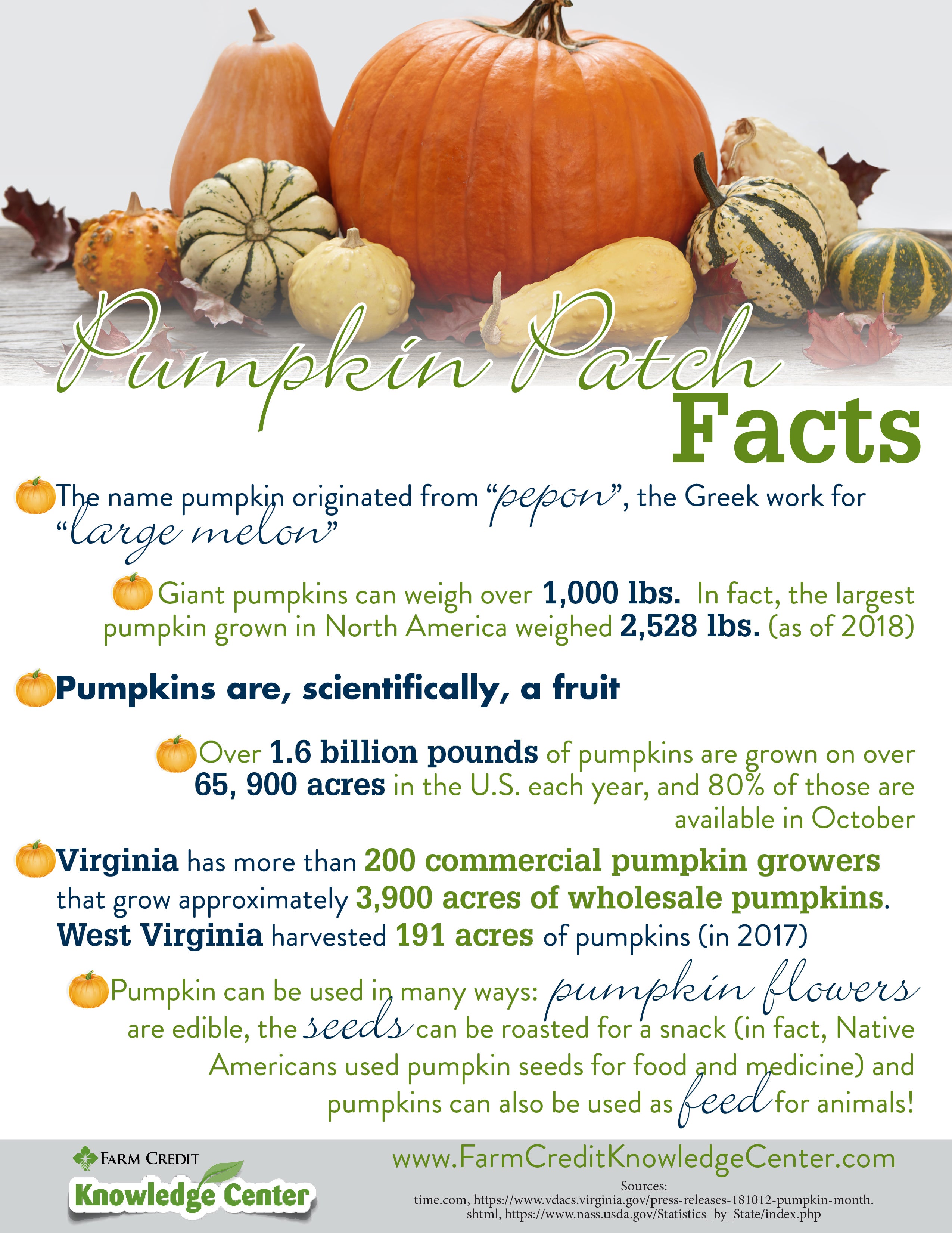 Pumpkin History Facts